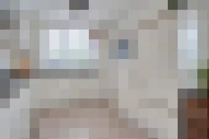 Zwaluw 35 Raalte thumbnail 20