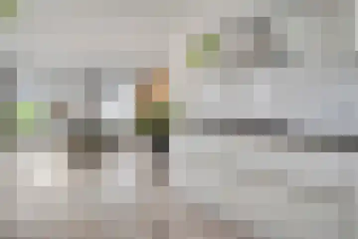 Zwaluw 35 Raalte thumbnail 21