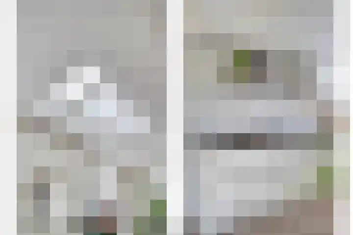 Zwaluw 35 Raalte thumbnail 23