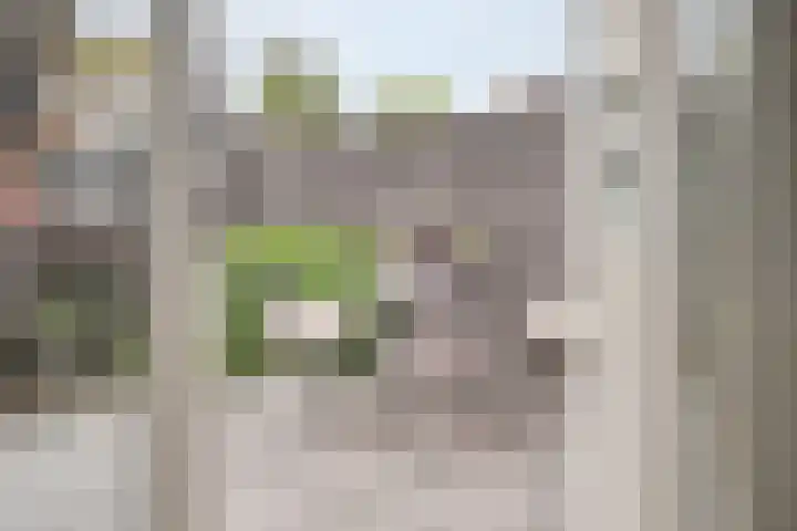 Zwaluw 35 Raalte thumbnail 26