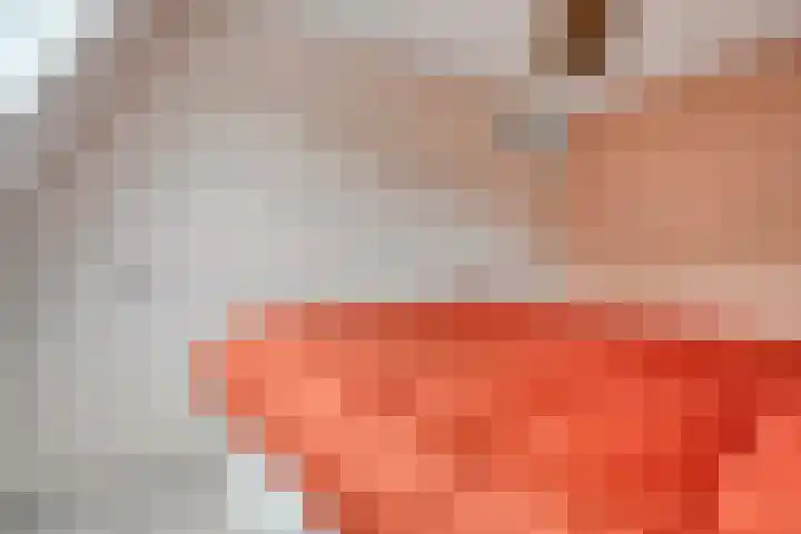 Zwaluw 35 Raalte thumbnail 30