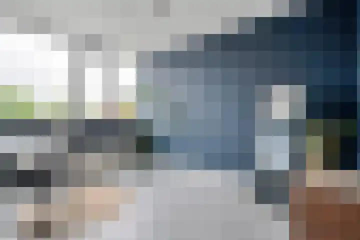 Zwaluw 35 Raalte thumbnail 31