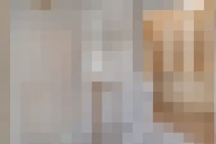 Zwaluw 35 Raalte thumbnail 38