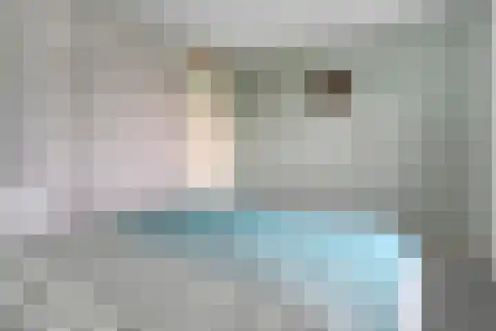 Zwaluw 35 Raalte thumbnail 41
