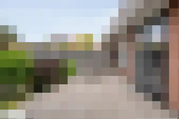 Zwaluw 35 Raalte thumbnail 45
