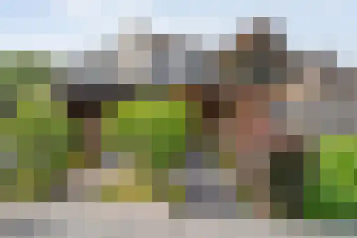 Zwaluw 35 Raalte thumbnail 46