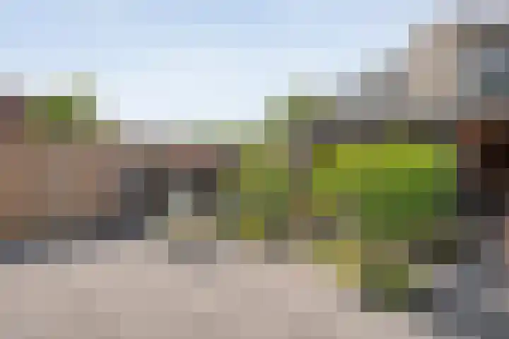 Zwaluw 35 Raalte thumbnail 47