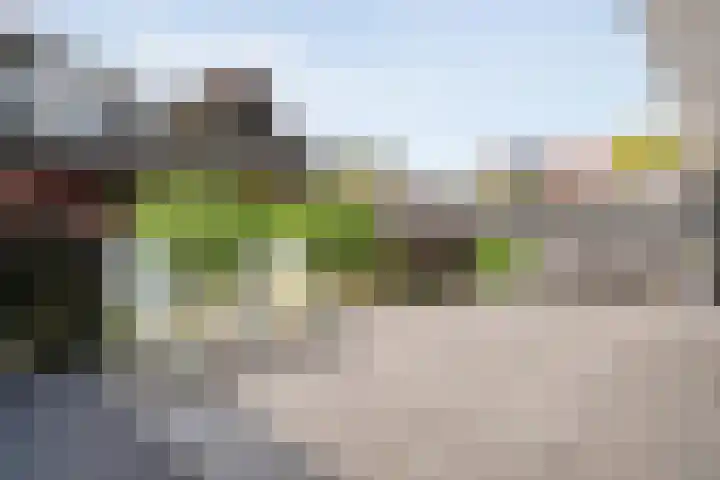 Zwaluw 35 Raalte thumbnail 48