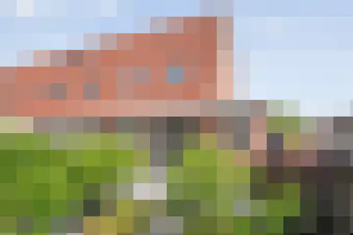 Zwaluw 35 Raalte thumbnail 49