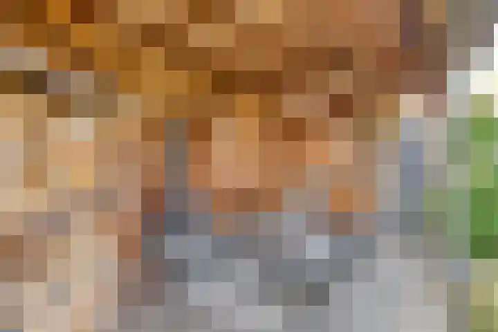 Zwaluw 35 Raalte thumbnail 50