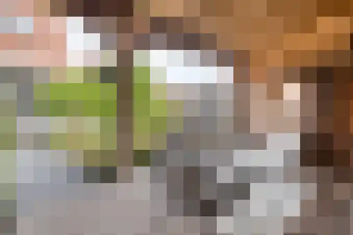 Zwaluw 35 Raalte thumbnail 51