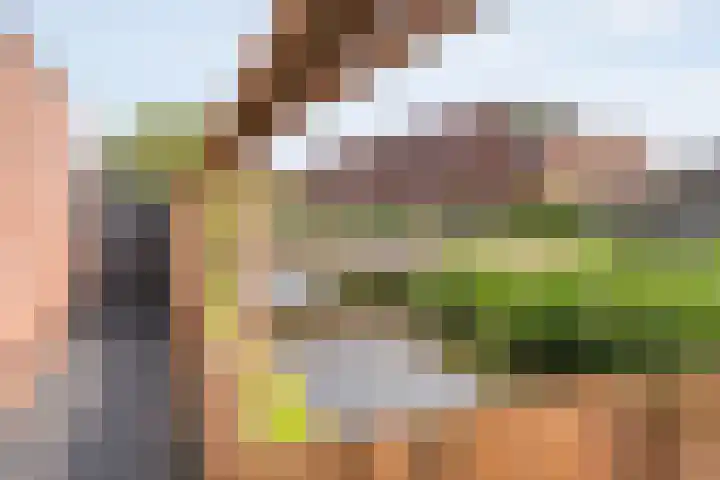 Zwaluw 35 Raalte thumbnail 52