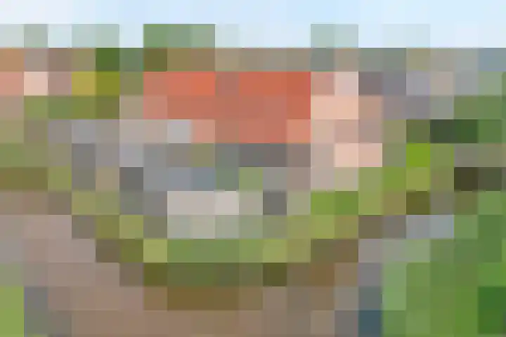 Zwaluw 35 Raalte thumbnail 58