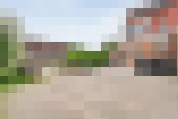 Zwaluw 35 Raalte thumbnail 7