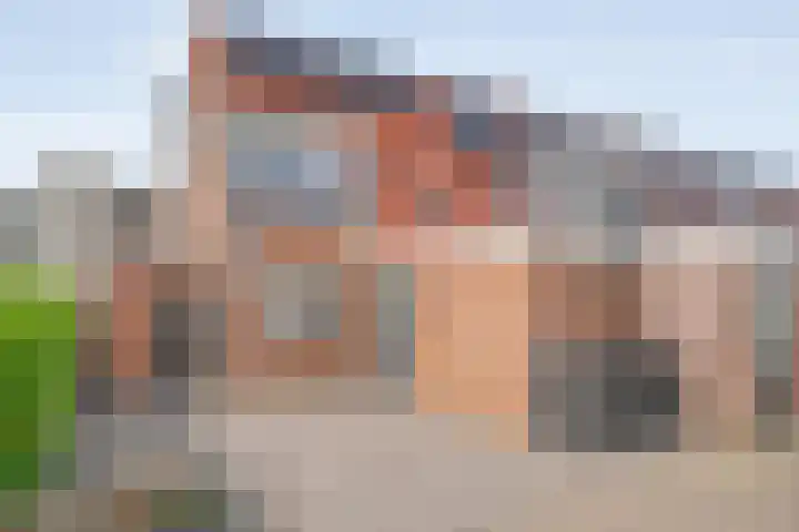 Zwaluw 35 Raalte thumbnail 8
