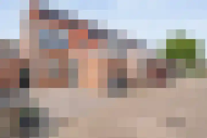 Zwaluw 35 Raalte thumbnail 9