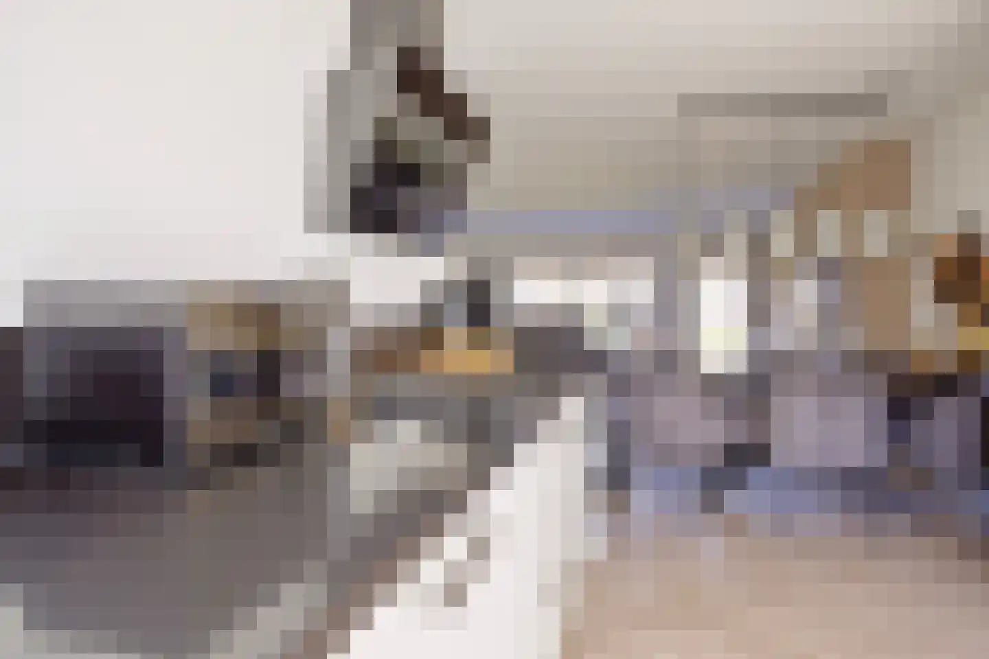 Zwaluw 37 Bunschoten-Spakenburg thumbnail 10
