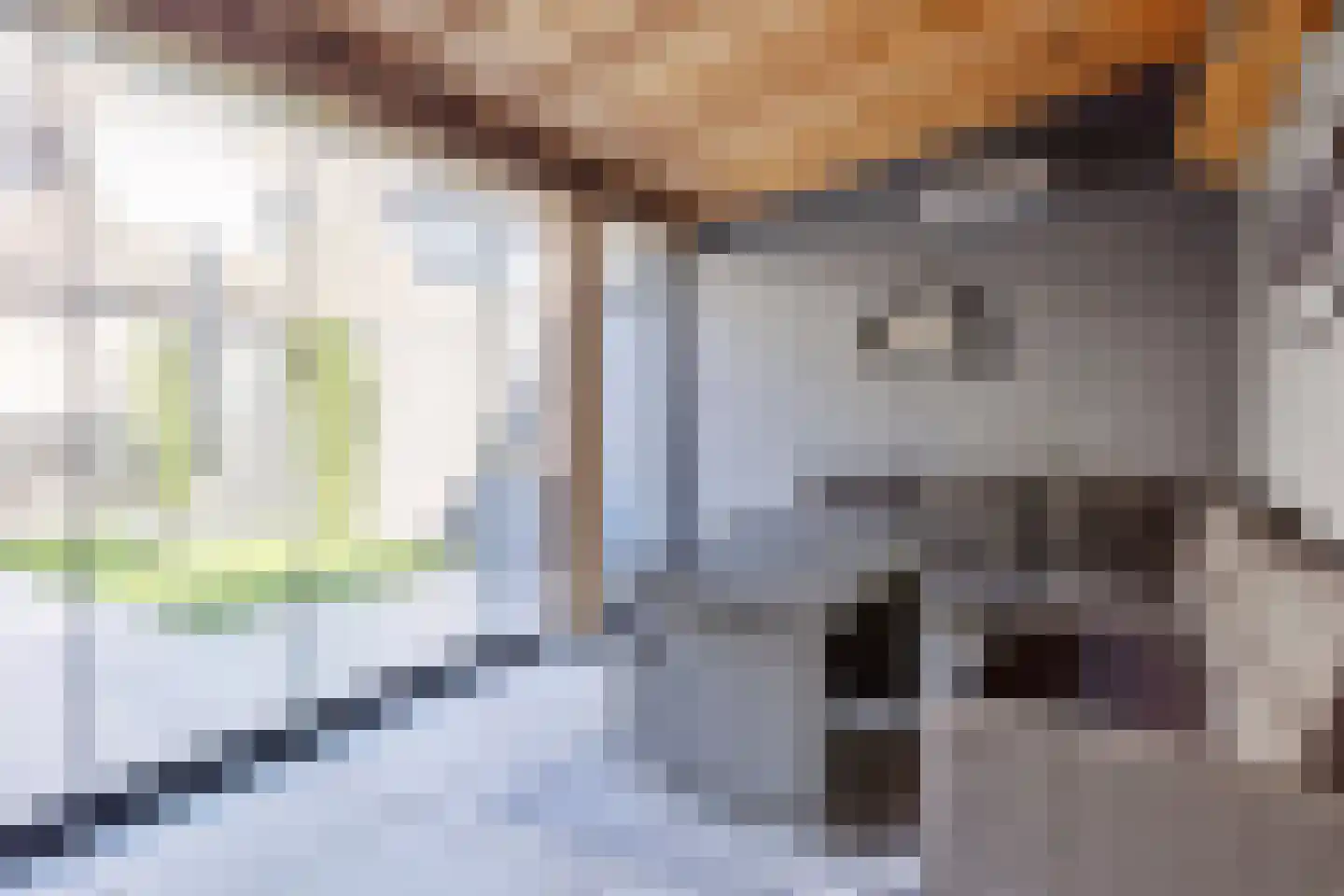 Zwaluw 37 Bunschoten-Spakenburg thumbnail 27