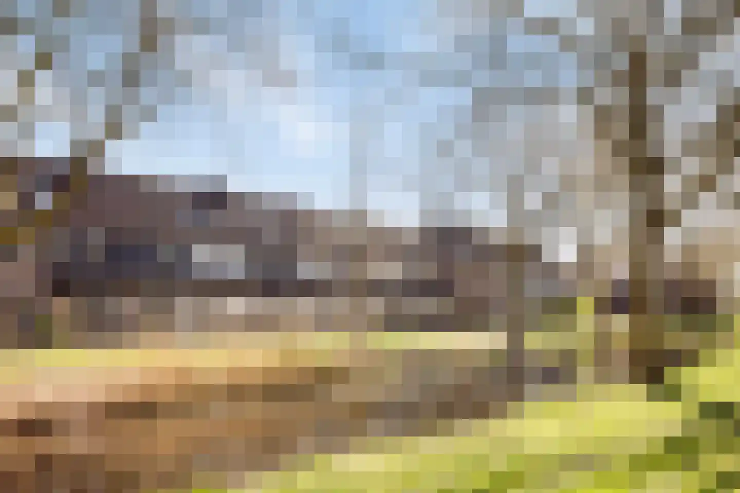 Zwaluw 37 Bunschoten-Spakenburg thumbnail 31
