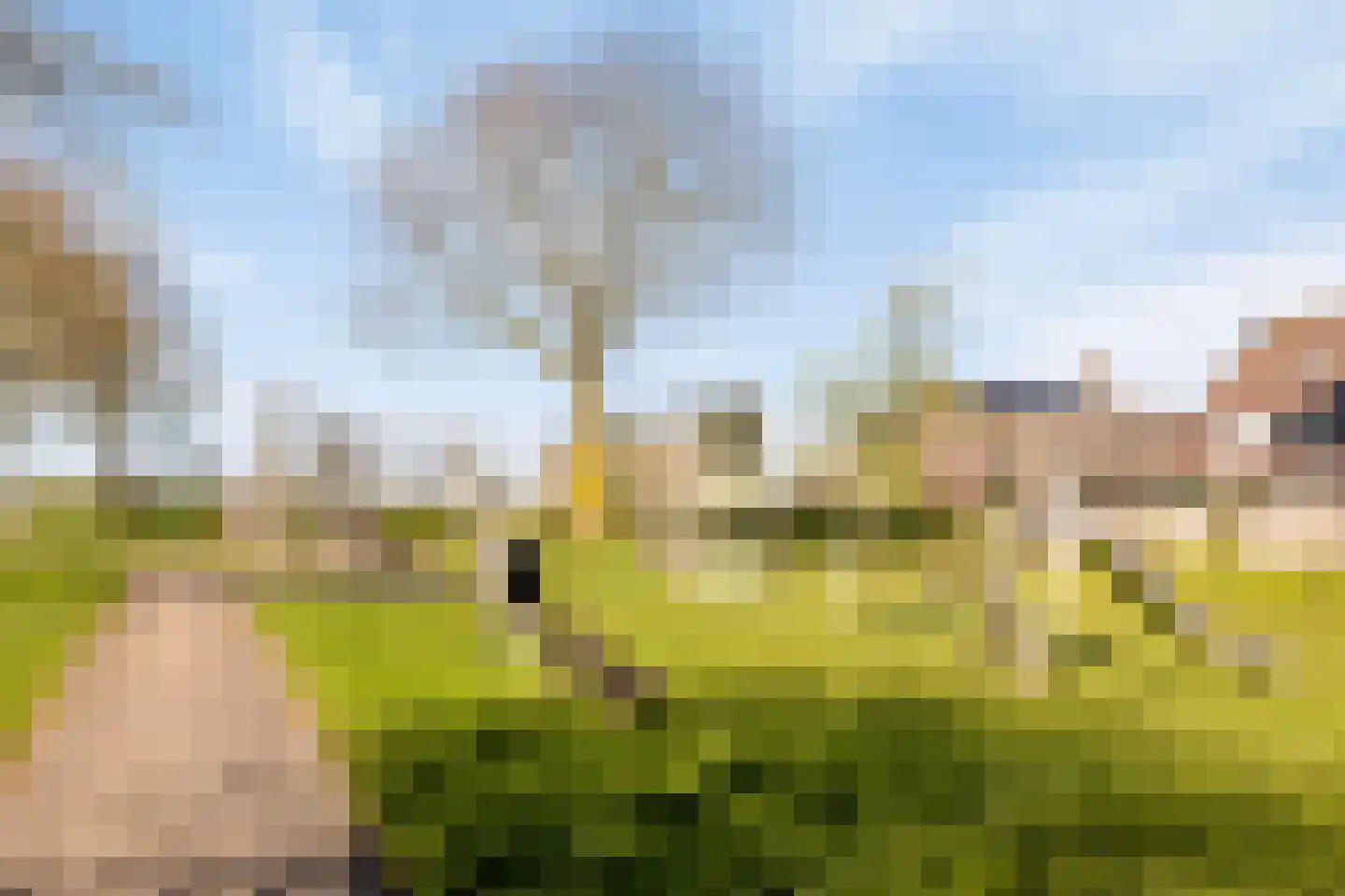 Zwaluw 37 Bunschoten-Spakenburg thumbnail 38