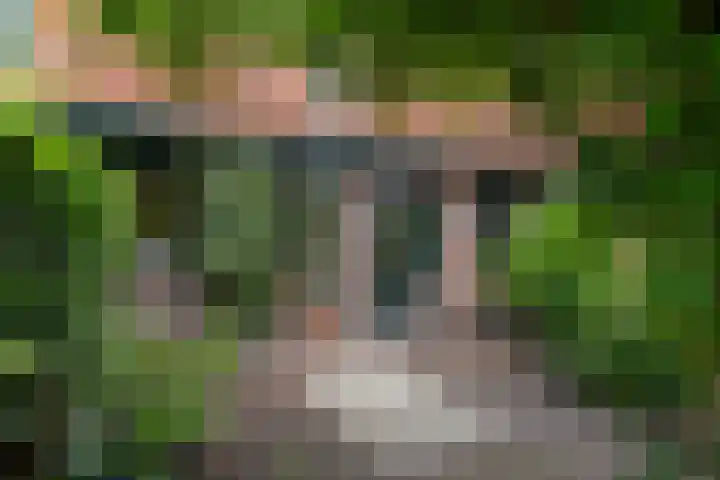 Zwaluw 40 Nieuwegein thumbnail 4