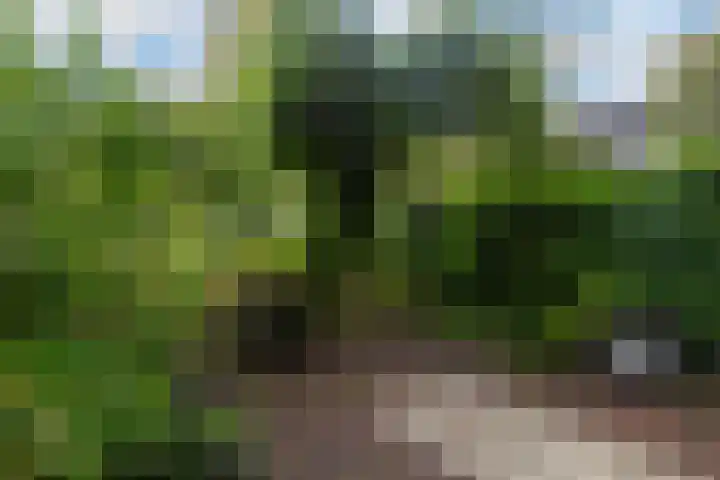 Zwaluw 40 Nieuwegein thumbnail 41