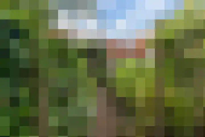 Zwaluw 40 Nieuwegein thumbnail 43