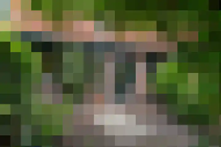 Zwaluw 40 Nieuwegein thumbnail 44