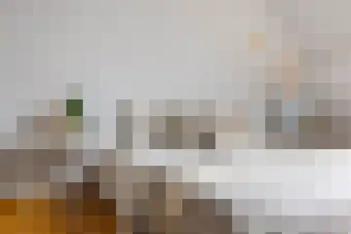 Zwaluw 40 Nieuwegein thumbnail 62