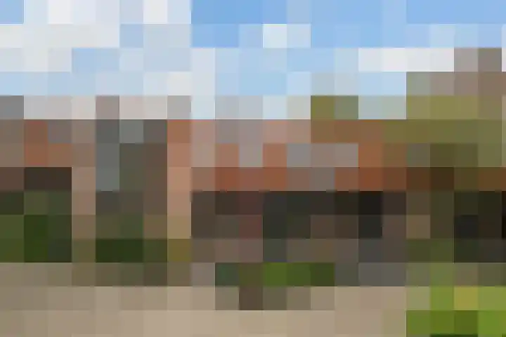 Zwaluw 40 Nieuwegein thumbnail 7