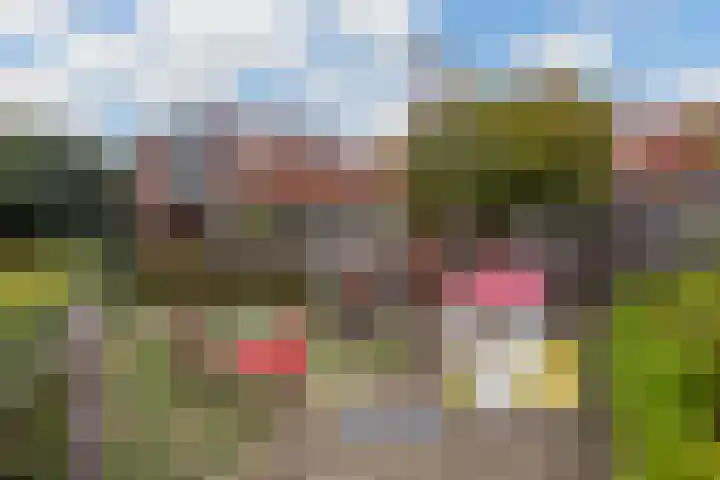Zwaluw 40 Nieuwegein thumbnail 76