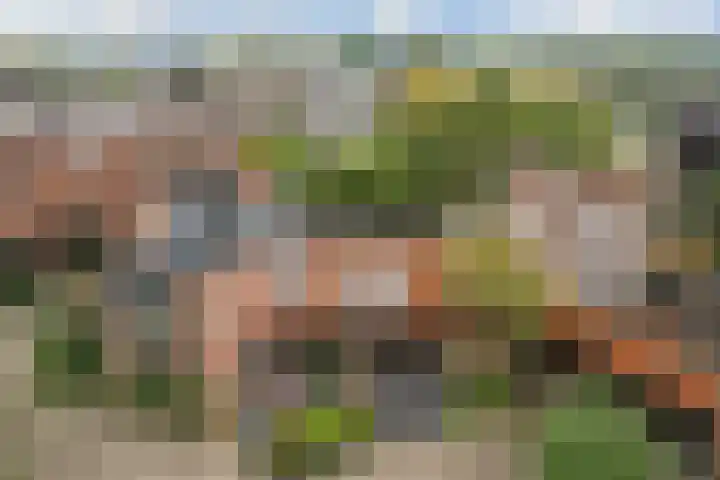 Zwaluw 40 Nieuwegein thumbnail 79