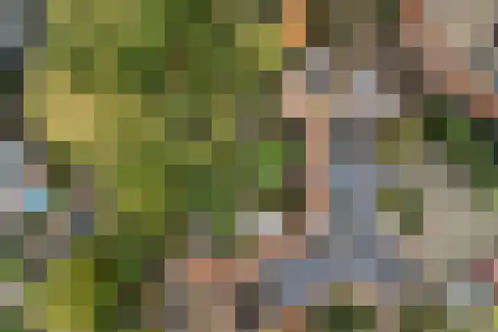 Zwaluw 40 Nieuwegein thumbnail 81