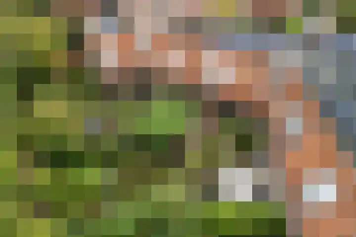 Zwaluw 40 Nieuwegein thumbnail 82