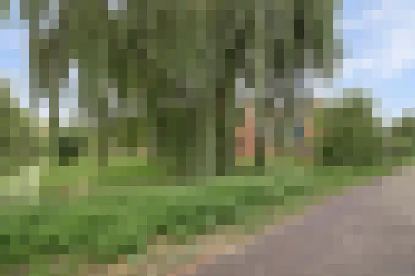 Zwaluw 48 Hoogvliet Rotterdam thumbnail 26