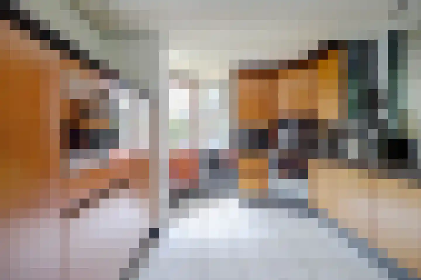 Zwaluw 48 Hoogvliet Rotterdam thumbnail 9