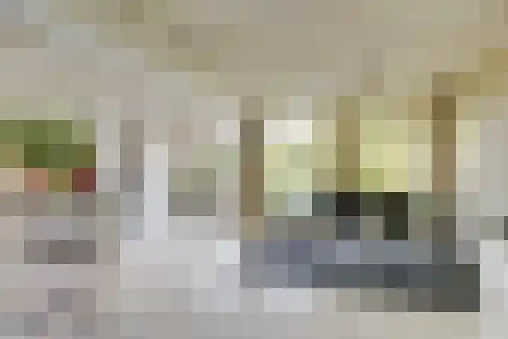 Zwaluw 50 Nieuwegein thumbnail 23