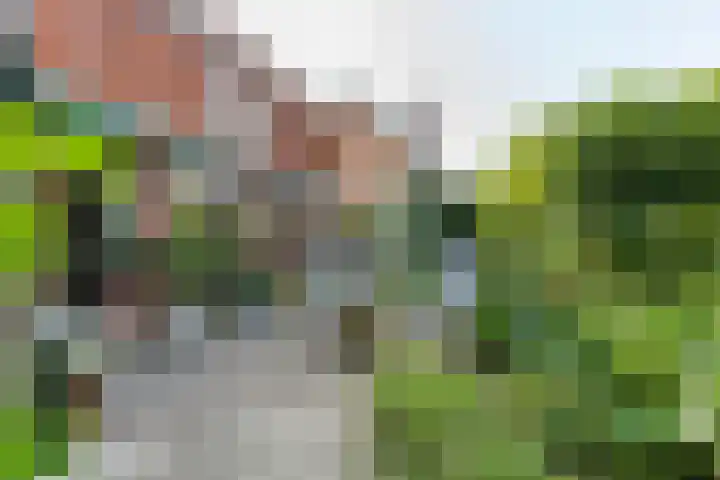 Zwaluw 50 Nieuwegein thumbnail 5
