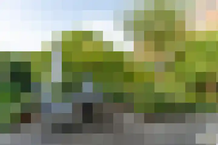 Zwaluw 50 Nieuwegein thumbnail 54