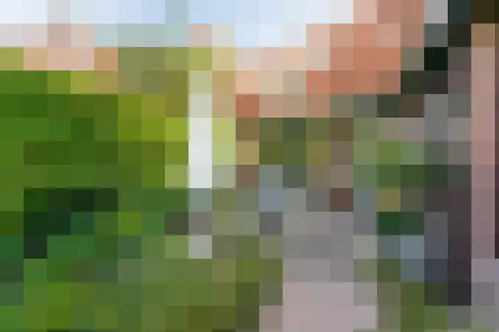 Zwaluw 50 Nieuwegein thumbnail 55