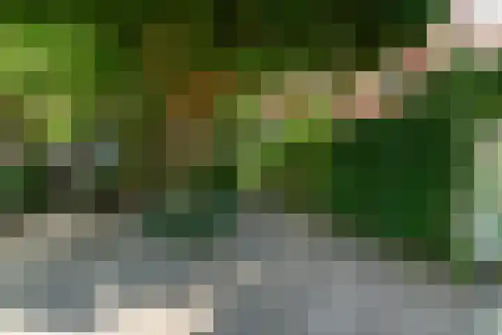 Zwaluw 50 Nieuwegein thumbnail 59