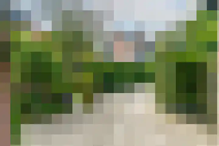 Zwaluw 50 Nieuwegein thumbnail 6