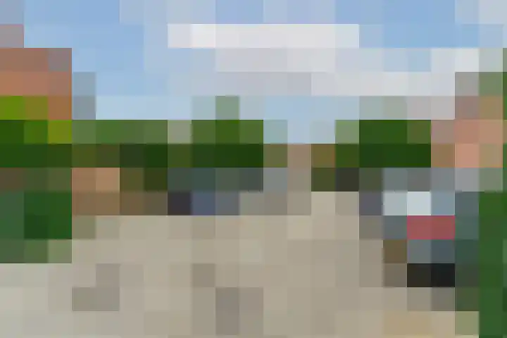 Zwaluw 50 Nieuwegein thumbnail 60