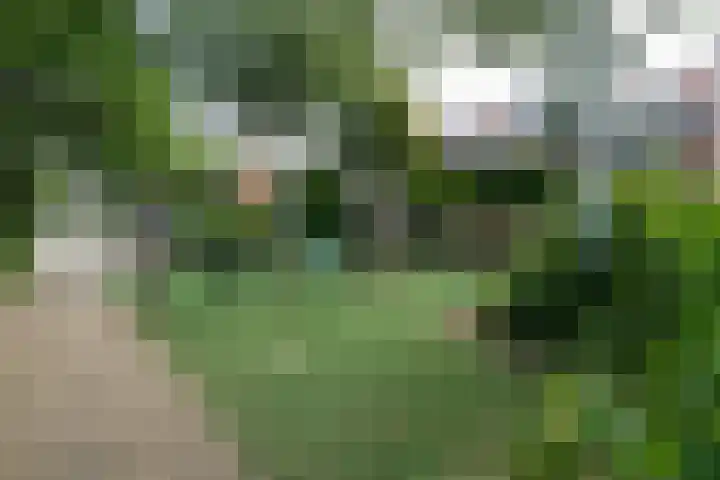 Zwaluw 50 Nieuwegein thumbnail 61