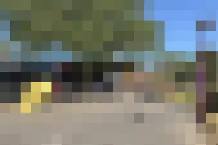 Zwaluw 50 Nieuwegein thumbnail 63