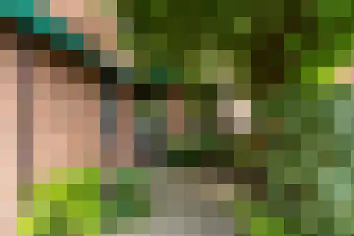 Zwaluw 50 Nieuwegein thumbnail 7