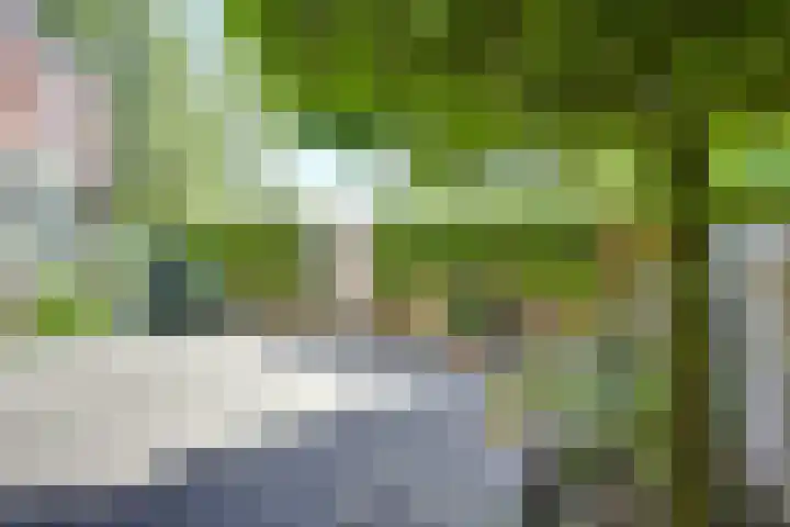 Zwaluw 52 Nieuwegein thumbnail 34
