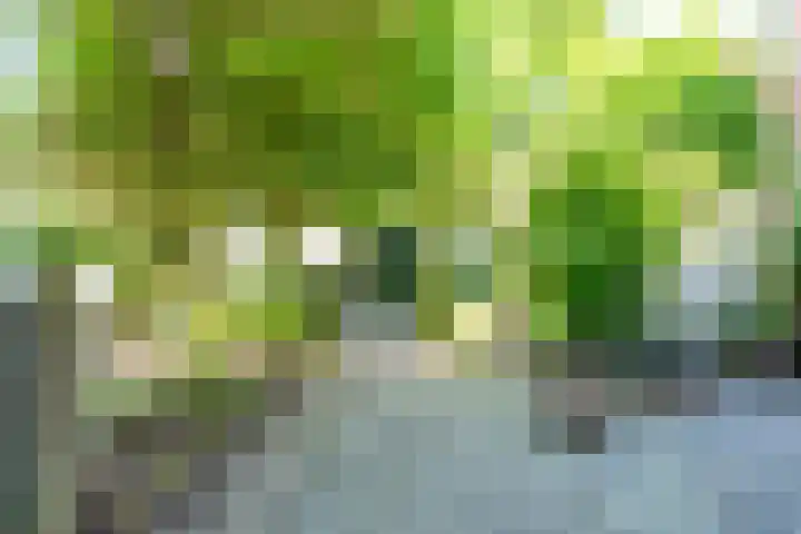 Zwaluw 52 Nieuwegein thumbnail 37