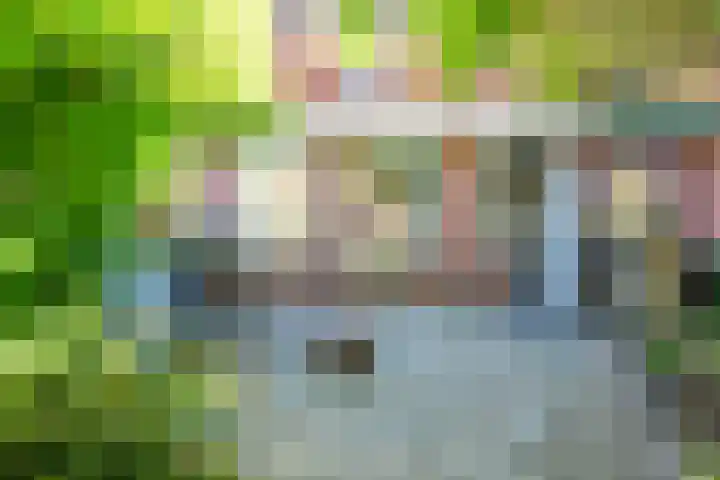 Zwaluw 52 Nieuwegein thumbnail 39