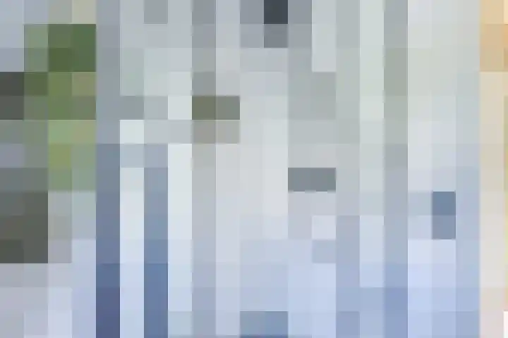 Zwaluw 52 Nieuwegein thumbnail 53